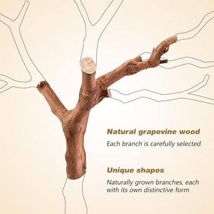 PINVNBY 2 PCS Wooden Hamster Climbing Branches 5.9 in Natural Grapevine Syrian Hamster Chewing Toys Small Animal Habitat Decor Accessories for Gerbils Mice Rat and Dwarf Pets