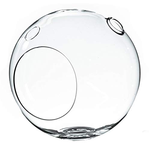 WGV Planter Terrarium Bulk, Width 6" Height 6.5", Clear Globe Glass Vase Container Orb with Two Side Opening, DIY Air Planter, Votive Candle Holder for Decor, 6 Pieces - size: Double Opening Orb