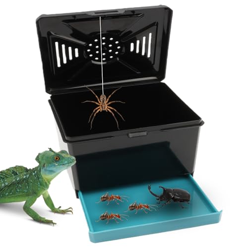 Spider Cage Manti Feeding Box Reptile Mealworms Breeding Box to Breed Live Worms for Spider Manti Insects (Black)