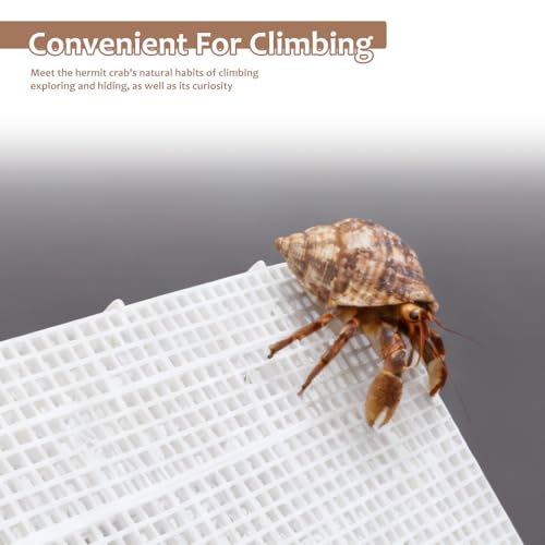5 Pcs DIY Hermit Crab Ladder Climbing Toy Climbing Wall Tank Accessories Aquarium Decoration