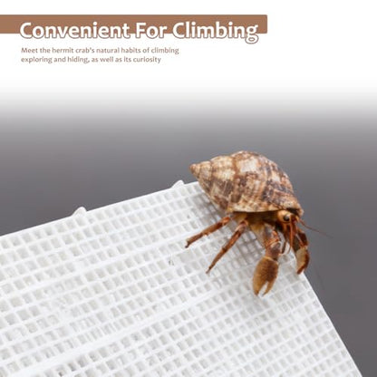 5 Pcs DIY Hermit Crab Ladder Climbing Toy Climbing Wall Tank Accessories Aquarium Decoration