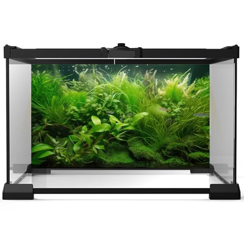 Aquarium Background Diverse Collection of Aquatic Plants Seagrasses Terrarium Background Redwood Root Moss Tropical Style Underwater Lush Green Plants Fish Tank Background Wallpaper Poster 24x12in - color: Green, size: 24(W)x12(H)inches/ 60(W)*30cm(H)
