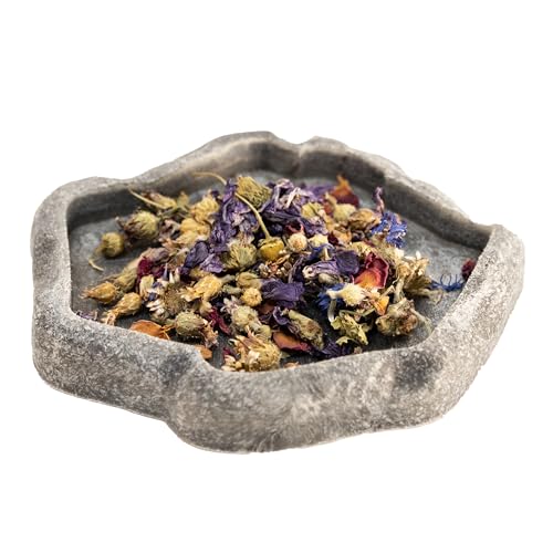 Zoo Med Flower Food Topper for Tortoise and Box Turtle 0.21 ounce - 2 Pack