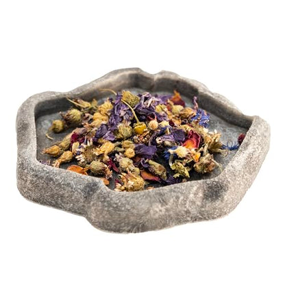 Zoo Med Flower Food Topper for Tortoise and Box Turtle 0.21 ounce - 2 Pack