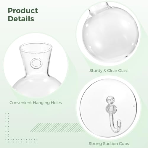 4 Pack Glass Propagation Vases for Plants, Hanging Window Planters with 4 Suction Cups and 2 Brushes, Glass Plant Terrarium Vase, for Water Cultivating, Home Decor, Housewarming Present