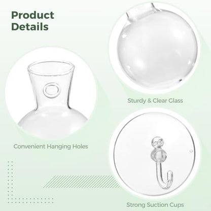 4 Pack Glass Propagation Vases for Plants, Hanging Window Planters with 4 Suction Cups and 2 Brushes, Glass Plant Terrarium Vase, for Water Cultivating, Home Decor, Housewarming Present