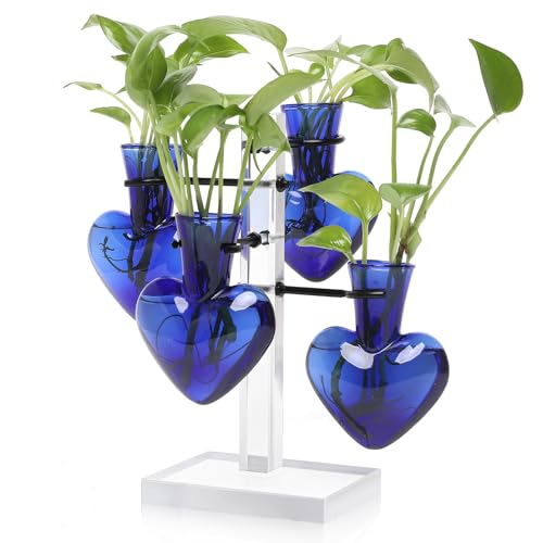 Plants Propagation Stations Plant Terrarium Kit Gift for Women | Birthday Glass Planters For Indoor Plants Home Office Decor Acrylic Plant Accessories - 4 Love Hear Vase - color: Blue