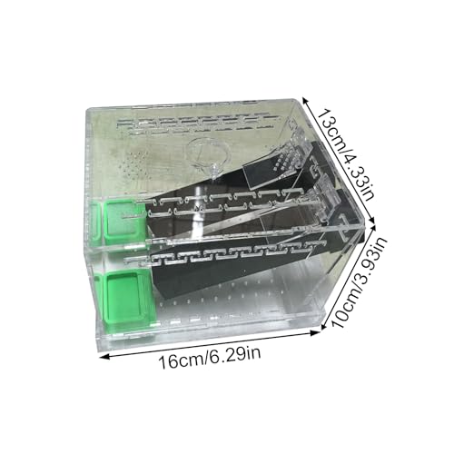 Crickets Breeding Box Equipped with Food Water Basins and Absorbent Cotton Breeding Case