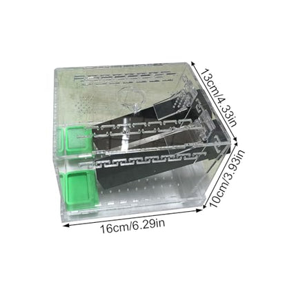 Crickets Breeding Box Equipped with Food Water Basins and Absorbent Cotton Breeding Case