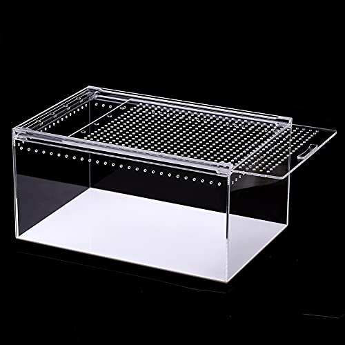 NANEEZOO Magnetic Enclosure for Spider, 12 x 8 x 6 Inch Reptile Breeding Box Terrarium Cage for Insect Tarantulas Amphibians Caterpillars Snail Clear Reptile Feeding Box