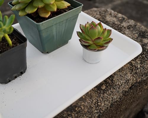 VUWEZ Plant Saucer Growing Tray, Seed Starter Tray Rectangular, Heavy Sturdy Plastic Plant Saucers Drainage Trays, Plant Drip Trays for Pots, Seed Starter Growing Pots (11 x 9 inch, 2 Pack) - color: Creamy White, size: 11'' x 9'' x 1.2'' (2 pack)