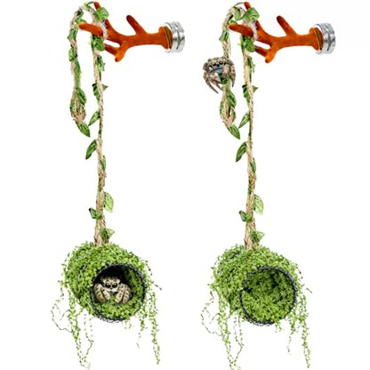 5Pcs Jumping Spider Enclosure Accessories with Hammock, Magnetic Climbing Rope, Resting Ledge Platforms and Feeding Dish Bowl & Hook for Terrarium Habitat (Two Hammocks) - color: Two Hammocks