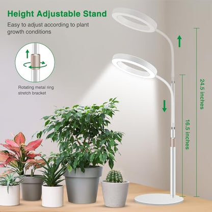Aumtrly Desk Grow Light Full Spectrum with Base for Indoor Plants Growing | 80 LED, White Halo Design, 24.5-inch Height Adjustable, 6/12/16H Timer, 5 Dimming Levels, 3 Light Modes, Flexible Gooseneck - size: 1 head 24.5inch/white