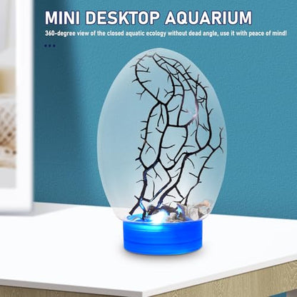 Closed Aquatic Ecosystem Mini Fish Tank with LED Light, Blue Base, Spherical Desktop Aquarium for Home Decor and Plant Terrarium