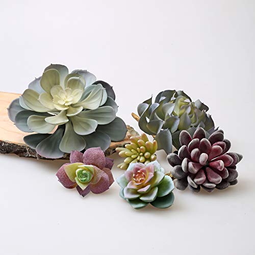caqpo Premium Artificial Succulents - Mini Fake Succulent Plants & Faux Cactus - 15 Pack - size: 2" - 7" in Diameter and 4" - 14" in Lenght