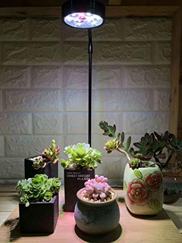 Full Spectrum LED Light with Bamboo Board, Fits Aquarium Nano Tank, Betta Fish Tank, Potted Plants, Succulents, Miniature Landscape – 5W - size: 5W
