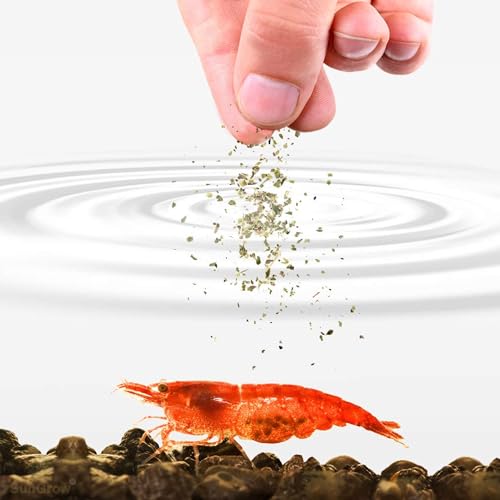 SunGrow Shrimp Calcium White Powder, Supports Healthy Molting, Improves Shell Color, Growth & Strength, Enhances Water Quality, Breeding Support, Essential Mineral for Freshwater Shrimp, 1.8 oz