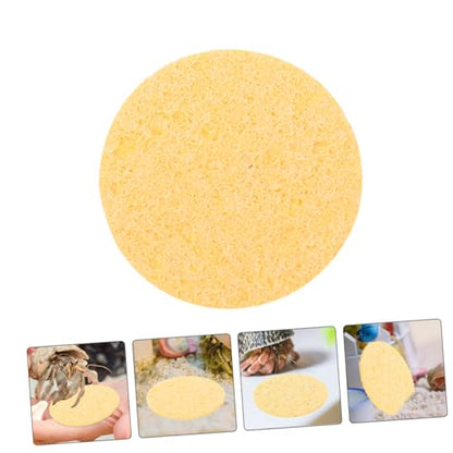 20pcs Humidity Maintaining Crab Tank Sponges Unbleached Sea Sponge for Water Dish Durable Moisture Retention Promoting Healthy Growth Pet Crab Habitats