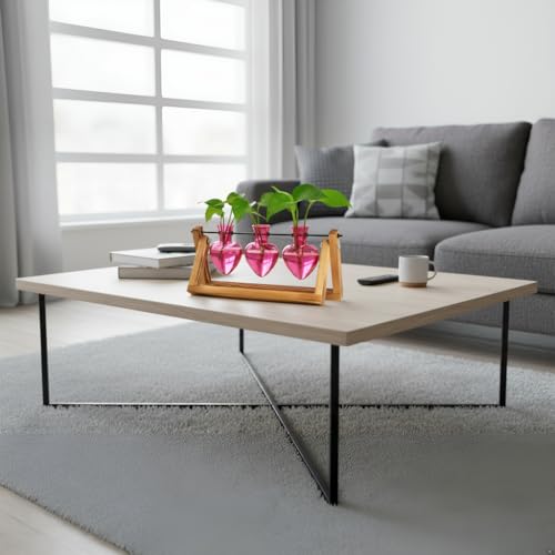 XXXFLOWER Plant Terrarium Propagation Stations 3 Heart Shaped Vases | Unique Terrarium Jar Gifts for Women Wife Mom Plant Lovers, Hydroponics, Home Garden Office Decor - size: 3 Heart Vase