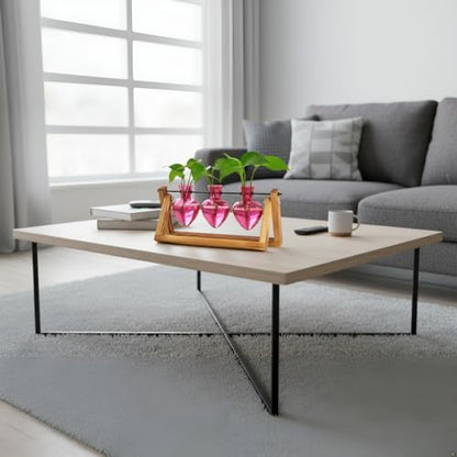 XXXFLOWER Plant Terrarium Propagation Stations 3 Heart Shaped Vases | Unique Terrarium Jar Gifts for Women Wife Mom Plant Lovers, Hydroponics, Home Garden Office Decor - size: 3 Heart Vase