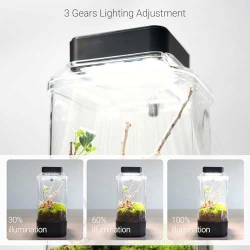 REPTI ZOO Insect Terrarium, 4" x 4" x 6" Insect Breeding Box with LED Lighting & Fan System, Glass Terrarium Tank for Spiders, Snail, Mantis and Small Reptiles
