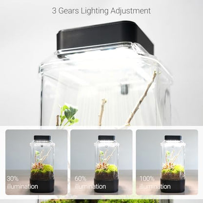 REPTI ZOO Insect Terrarium, 4" x 4" x 6" Insect Breeding Box with LED Lighting & Fan System, Glass Terrarium Tank for Spiders, Snail, Mantis and Small Reptiles