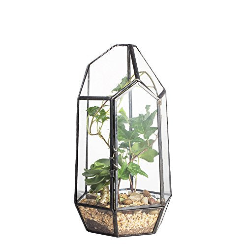 NCYP Small 5.1" x 5.1" x 8.66" Irregular Geometric Glass Terrarium Planter with Door - Home Tabletop Display Container Pot for Moss, Fern - Indoor Clear Decor, Black (No Plants)