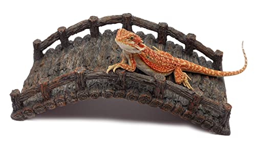Reptile Bridge, Brown, Reptile Habitat Accessory