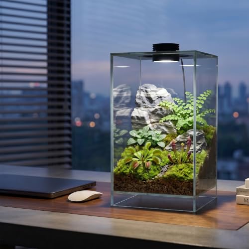 Desktop Glass Plant Terrarium with Grow Light for Carnivorous Plants & Moss | L7.8 x W7.8 x H14 in; Timer Auto On/Off; Succulent Display; Miniature Gardening; Indoor Decor; Gift for Plant Lovers.