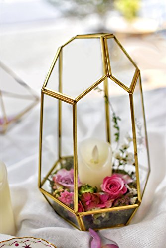 NCYP NO Door Gold Geometric Glass Terrarium for Succulent Air Plants | Irregular Terrarium Planter - Home Fairy Garden Small Decorative Display, Centerpiece - 6.5x5.7x9.8 Inches (No Plants)