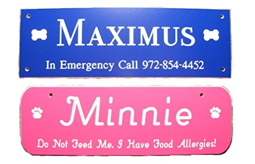 Custom Engraved 2" x 6" Pet Crate Tags