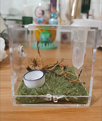 AWXZOM Spider Terrarium, Acrylic Reptile Breeding Box Jumping Spider Enclosure with Dropper Tongs Snail cage, Cricket Enclosure arboreal Tarantula Habitat