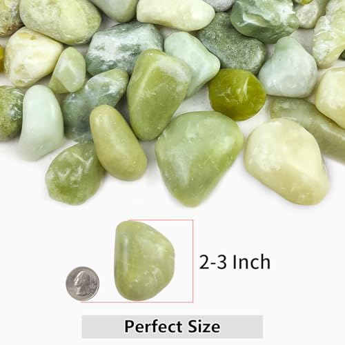 5lbs Jade Pebbles for Indoor Plants, 2-3 Inch Natural River Rocks | High Polished Outdoor Decorative Stones Vase Filler Fish Tank Aquariums Landscaping Garden Outdoor and Indoor DIY - color: Jade, size: 5 Pounds