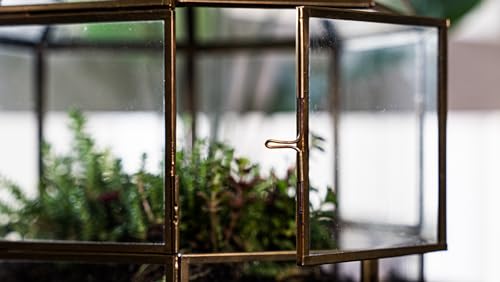 Urban Born Handmade Birdcage Large Glass Terrarium — 10" x 9" x 9" (Brass)