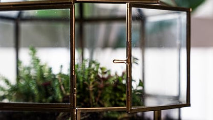 Urban Born Handmade Birdcage Large Glass Terrarium — 10" x 9" x 9" (Brass)