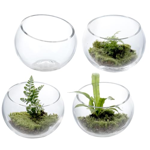 MyGift Premium Hotel Series 5 Inch Round Clear Glass Air Plant Terrariums, Mini Candy Bowl Jars, Tealight Candle Holders, Succulent Cactus Vases, Set of 4 - size: Set of 4 (Round)