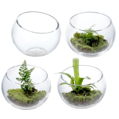 MyGift Premium Hotel Series 5 Inch Round Clear Glass Air Plant Terrariums, Mini Candy Bowl Jars, Tealight Candle Holders, Succulent Cactus Vases, Set of 4 - size: Set of 4 (Round)