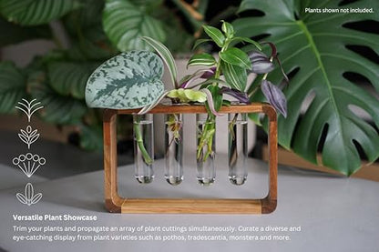 Source & Plot Plant Propagation Station - Acacia Wood Stand with 4 Glass Test Tubes, Tabletop Hydroponic Terrarium Planter Rack for Rooting & Houseplant Decor, Gift for Plant Lovers