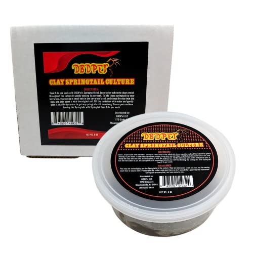 Live Springtail Cultures - Great for Terrariums, Vivariums, and More - Microfauna for Bioactive Reptile & Amphibian Cages (Clay Culture (New Option)) - size: 1 Count (Pack of 1)