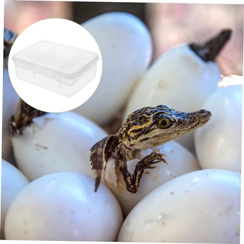 POPETPOP 2pcs Reptile Egg Incubator Reptile Breeding Box Thermometer Reusable and Easy Clean for Chicken Eggs
