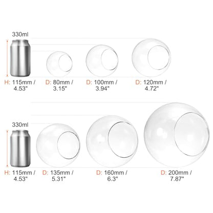 PATIKIL Round Globe Terrarium Air Plant Planter, 3.2 Inch High Borosilicate Glass Table Decorations for Succulent, Tillandsia, Clear - size: 3.2 Inch