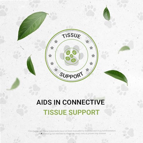 Reptilian Bones | Natural Herbal Dietary Pet Supplement for Reptiles | Support Healthy Bones | Alcohol-Free Extract, Dandelion Root, Alfalfa, Calendula, Chamomile, Fennel 2 oz