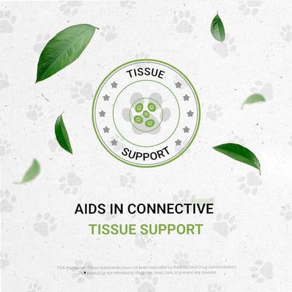 Reptilian Bones | Natural Herbal Dietary Pet Supplement for Reptiles | Support Healthy Bones | Alcohol-Free Extract, Dandelion Root, Alfalfa, Calendula, Chamomile, Fennel 2 oz