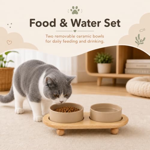 Havniva Raised Cat Bowl 5.1” Elevated Ceramic Cat Food and Water Bowl Set | Cat Bowls Elevated, Whisker Friendly Cat Bowl, Non-Slip Wood Stand, Food-Grade Ceramic, Wide Opening, Dishwasher Safe - color: Greige, size: 2 Bowls+Tray - 5.1"