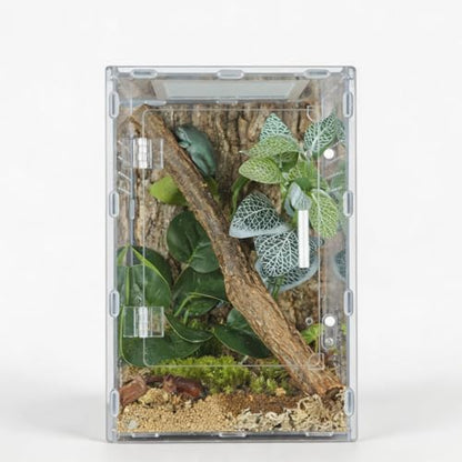 8x8x12 Acrylic Reptile Enclosure - Clear Terrarium Geckos Spiders | Metal mesh top for UVB compatibility with lightweight full-view acrylic construction - size: 8"8"12"