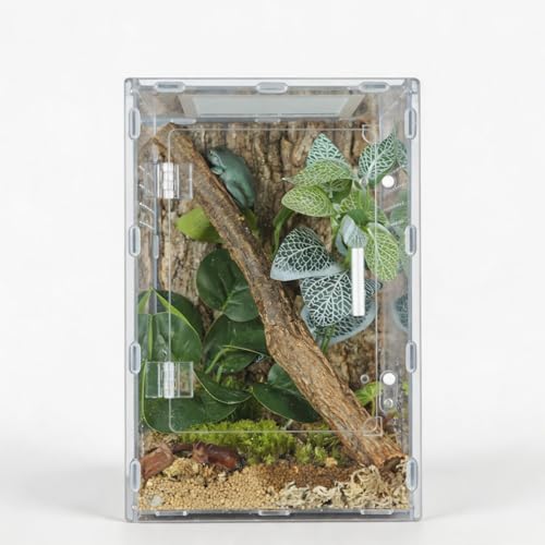 8x8x12 Acrylic Reptile Enclosure - Clear Terrarium Geckos Spiders | Metal mesh top for UVB compatibility with lightweight full-view acrylic construction - size: 8"8"12"