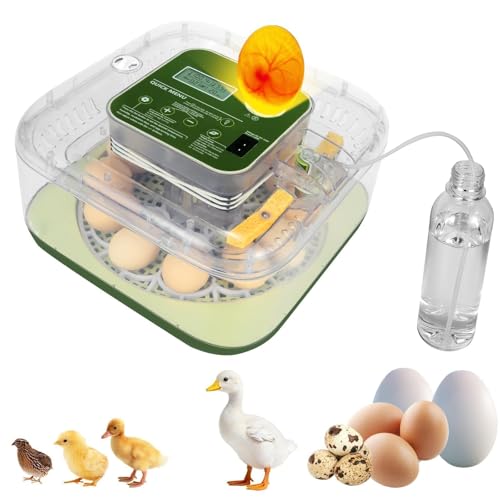 Series IV - 12 Egg Fully Automatic Incubator, Low Maintenance, Intelligent Sensor-Based Precise Humidity & Temp Control, Custom-Interval Auto Turn & Auto Stop, Preset Incubation Days, Candler, Alarms - size: New 12-Egg Green