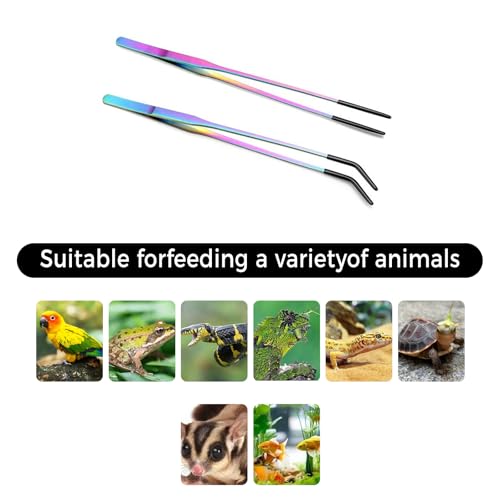 2PCS Stainless Steel Reptile Feeding Tongs, 10.6" Straight and Curved Tweezers for Bearded Dragon Tank Accessories, Planted Tank Tools Feeder for Lizards