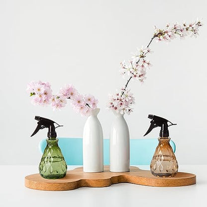 wugongshan 2 Pcs Spray Bottles, 500 ml/17 oz Empty Water Spray Bottles, Plastic Reusable Adjustable Mist Sprayer Squirt Bottles Containers Refillable for Cleaning Solutions, Gardening, Plants - color: Brownish and Green