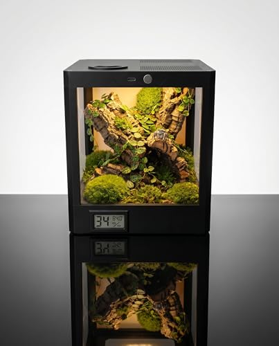 Smart Jumping Spider Terrarium with LED Light & Temp Humidity Monitor – Micro-Jungle Reptile Enclosure, Vertical Desktop Rainforest Ecosystem Display Decor